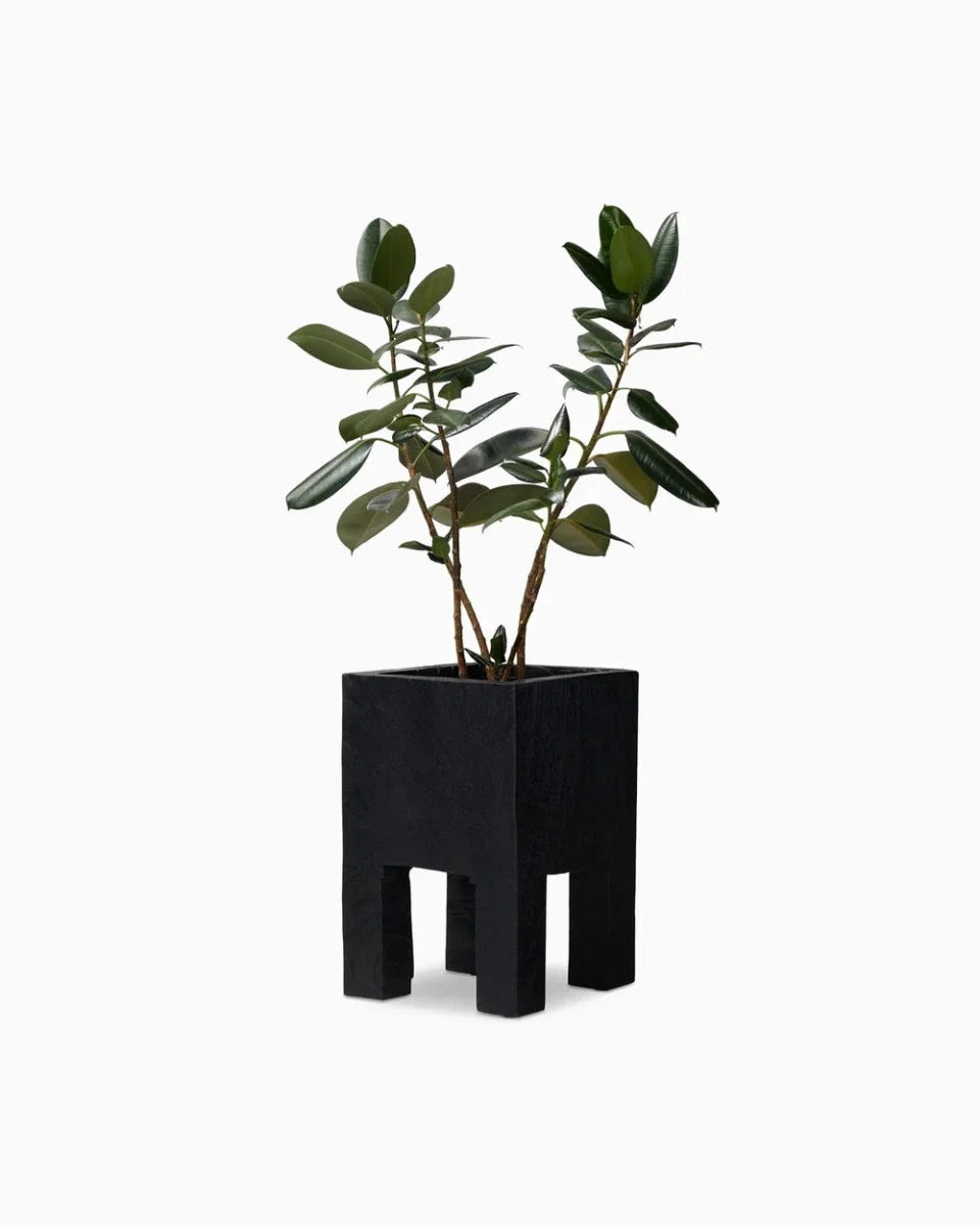 Tora Planter