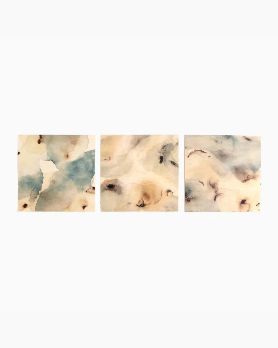 Nostalgia Underneath Triptych by Molly Franken