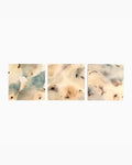 Nostalgia Underneath Triptych by Molly Franken