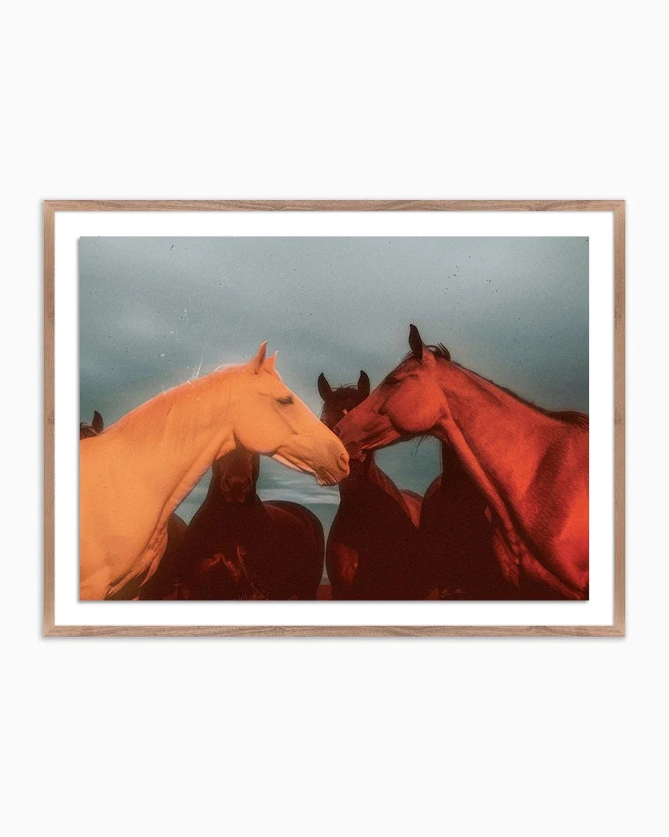 Sunset Horses by Coup d'Esprit