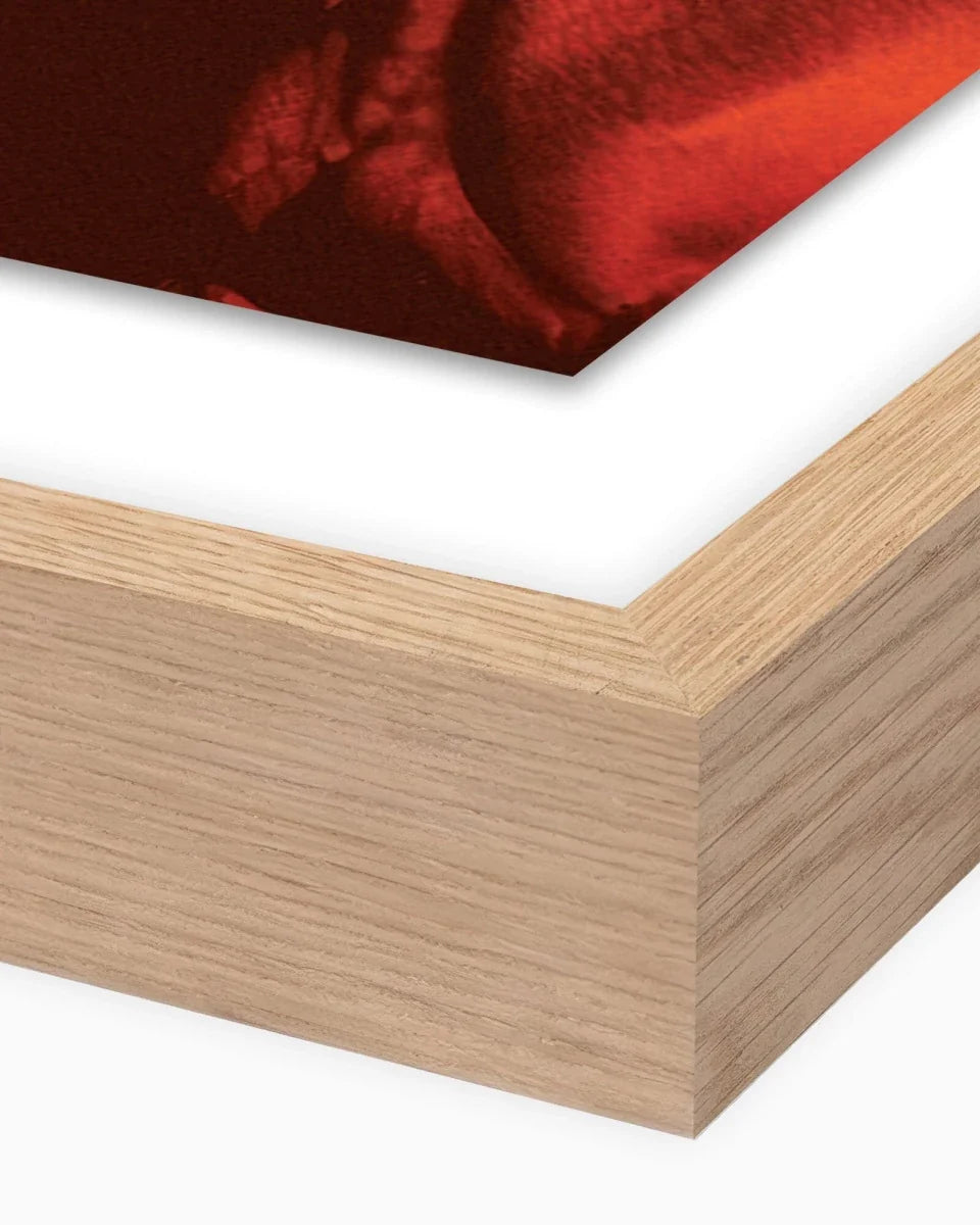 Sunset Horses by Coup d'Esprit