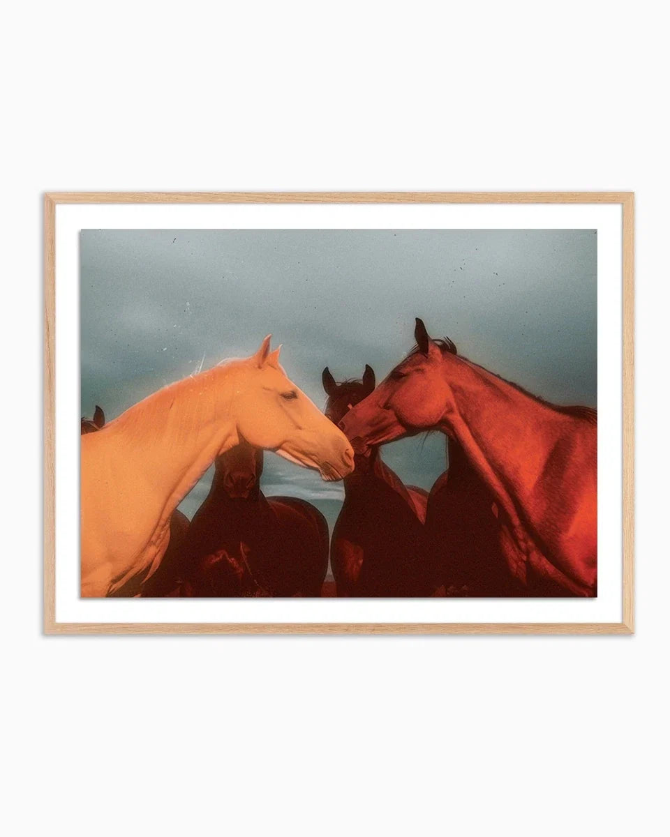 Sunset Horses by Coup d'Esprit