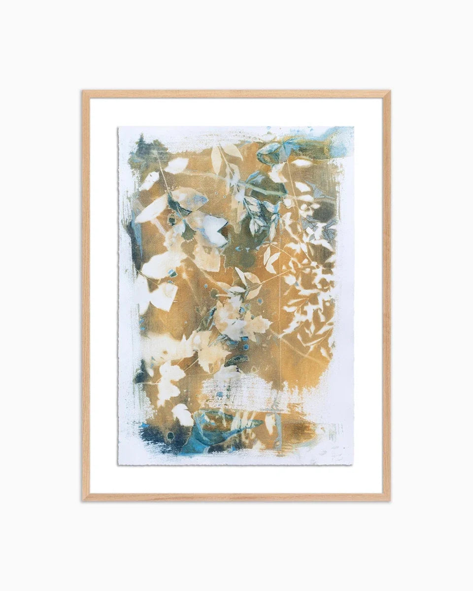 Apricity by Kristen Abbott