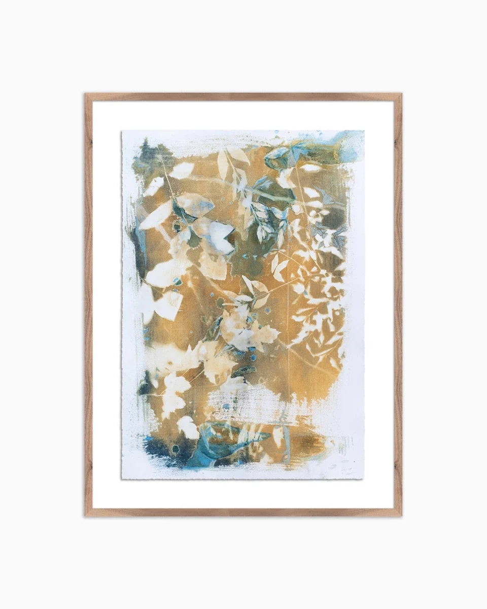 Apricity by Kristen Abbott
