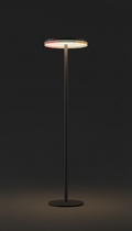 Brushed Metal Minimalist Floor Lamp